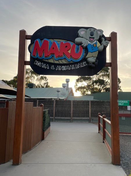 MARU